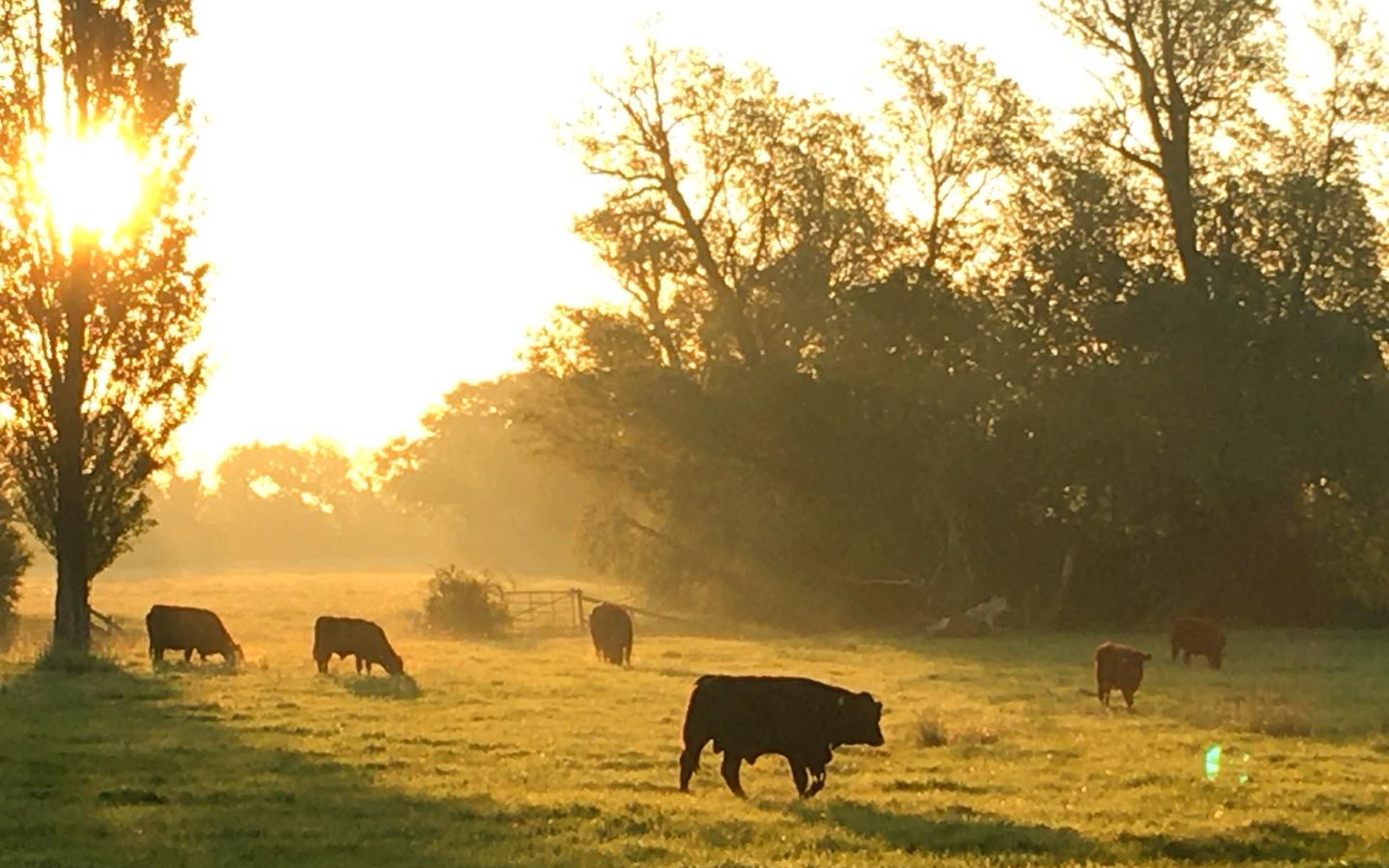 Farming for the future