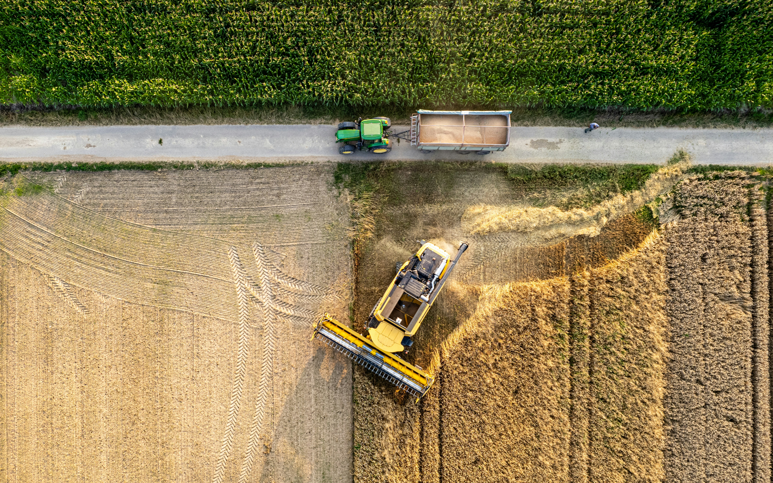 Arable Farming